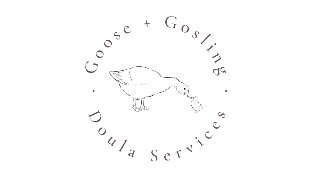 Goose And Gosling Doula Services